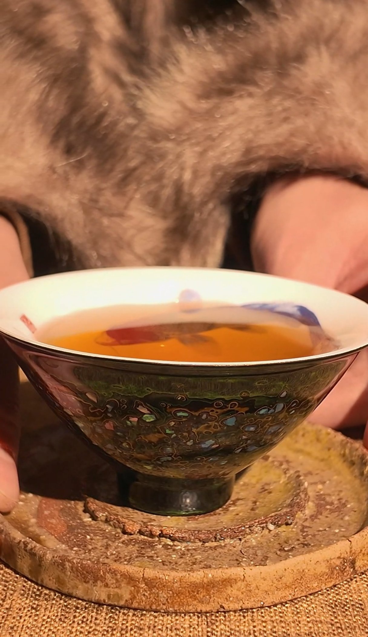 微信图片_20260223154516_24_6