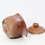 mini teapot for dancong and yancha