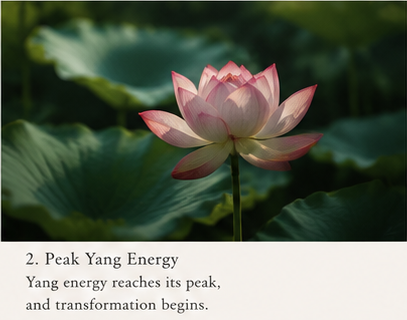 peak yang energy yang energy reaches its peak and transformation begins
