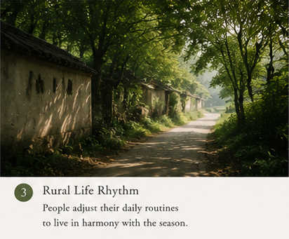 quiet rural life in China during early summer with shaded fields and soft sunlight