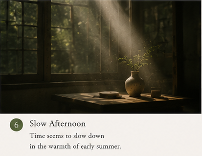 quiet summer afternoon light representing Xiaoshu seasonal transition