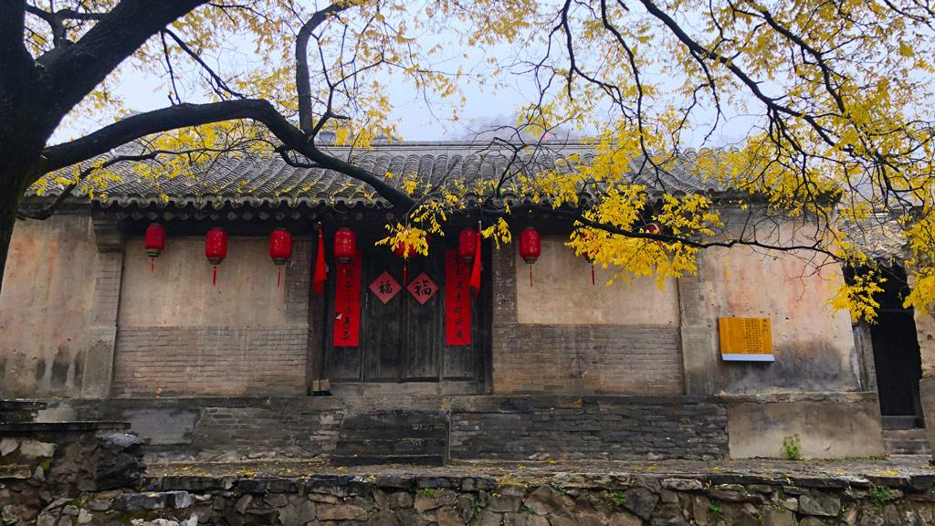 Old tree with sparse golden leaves beside a weathered courtyard in late autumn