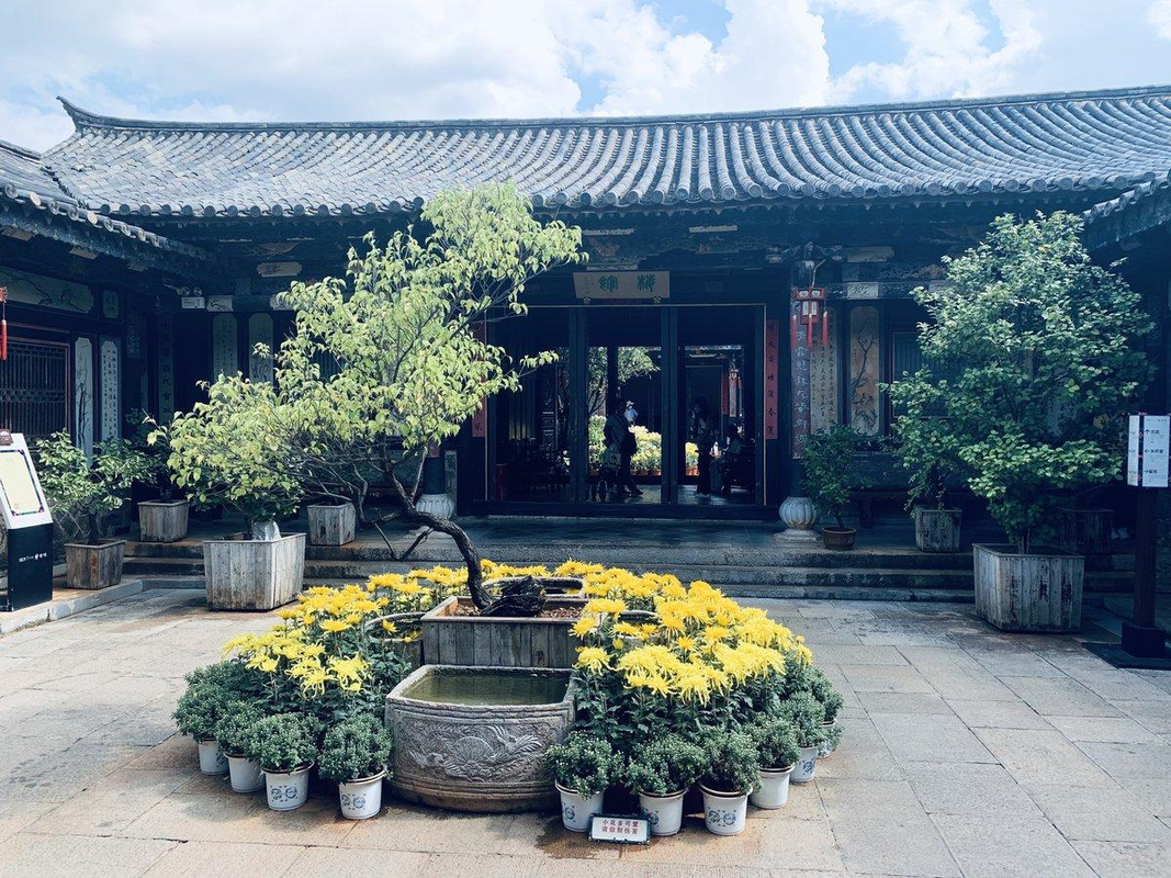 Golden yellow chrysanthemums blooming beside a traditional Chinese courtyard in warm autumn sunlight