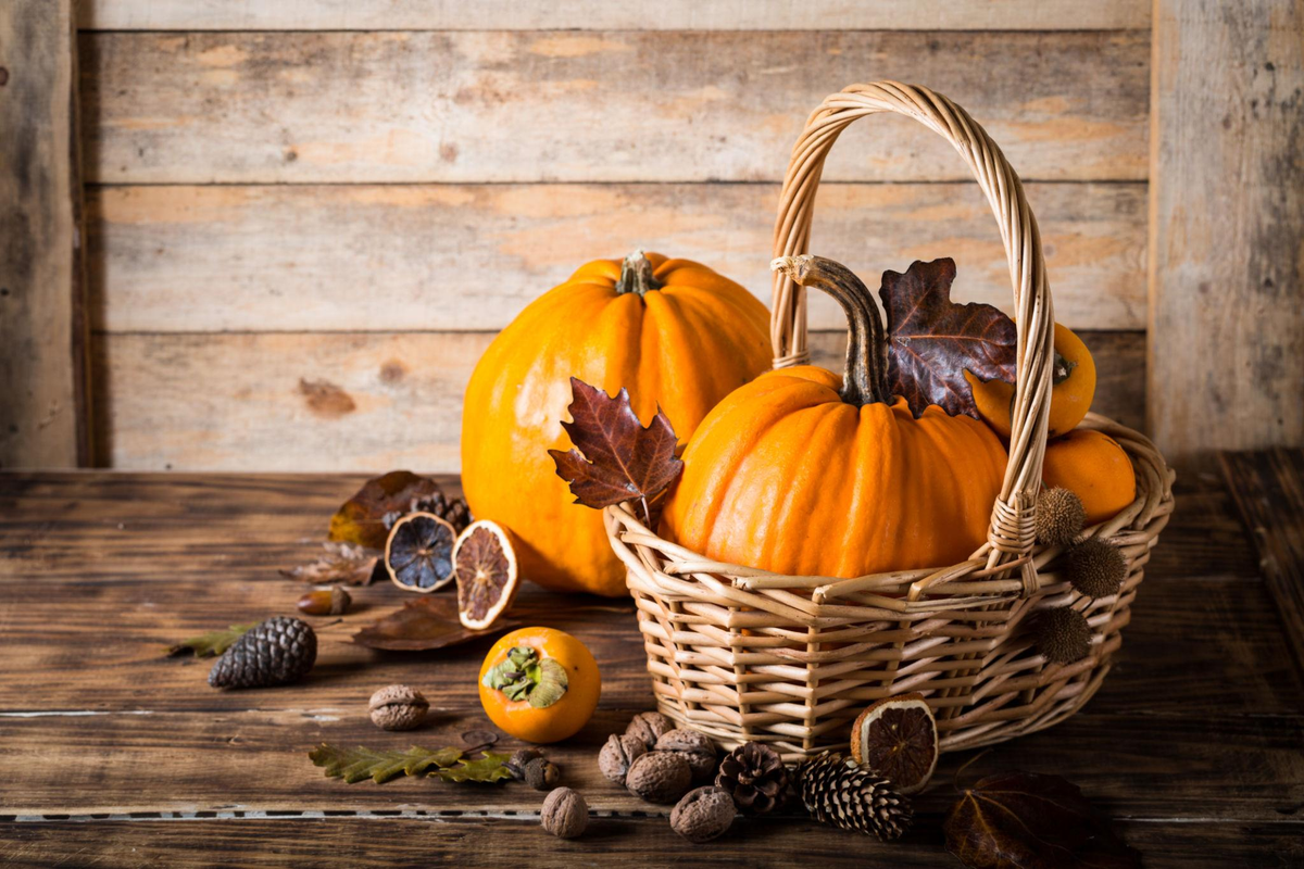 Autumn harvest of persimmons, pumpkins, chestnuts, and seasonal produce arranged in woven baskets beside a sunlit window